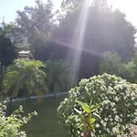 Flora Bed & Breakfast
