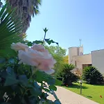 Flora 3*