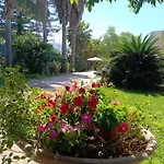 Flora