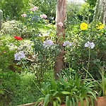 Bed & Breakfast Flora 3*