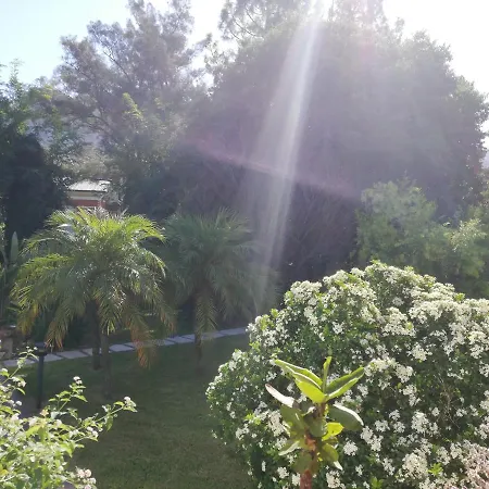 Flora Nocleg ze śniadaniem