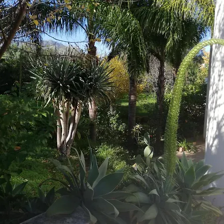 Bed & Breakfast Flora
