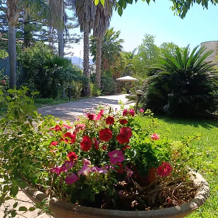 Flora