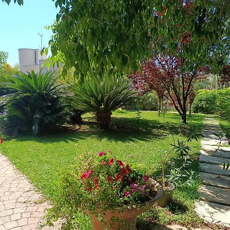 Flora Bed & Breakfast *