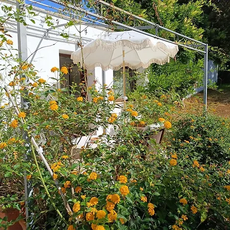 Flora Mondello
