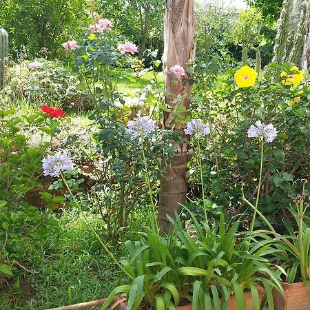 Bed and breakfast Flora 3*