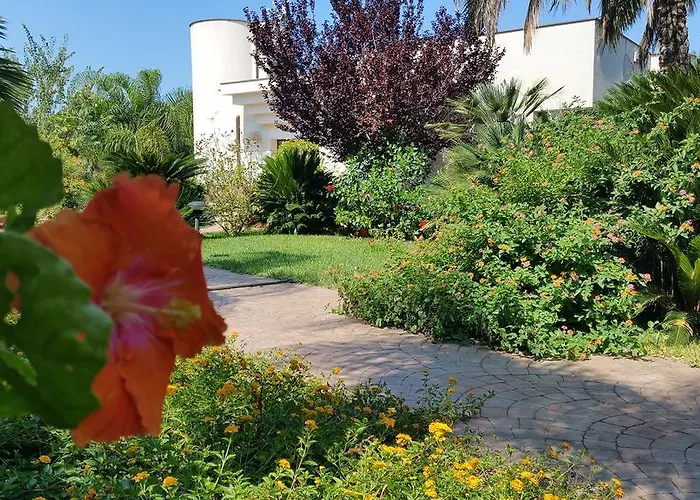 Flora Oda ve Kahvaltı