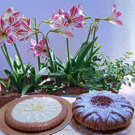 Oda ve Kahvaltı Flora *